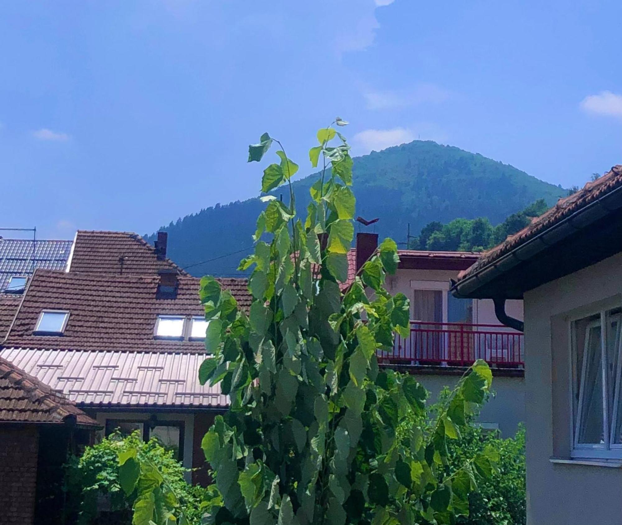 Apartman Balkan Високо Екстериор снимка